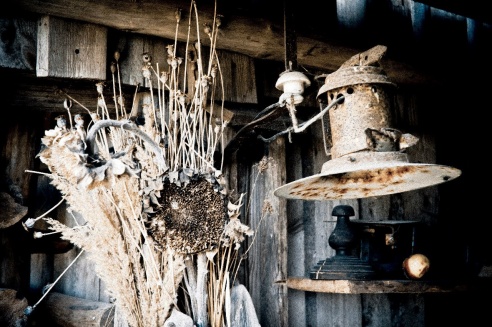 Андрей Мацур: «Снимаю жизнь во всех её проявлениях»"