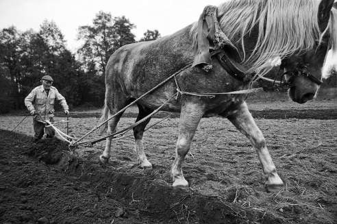 Андрей Мацур: «Снимаю жизнь во всех её проявлениях»"