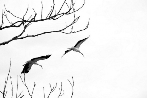 Андрей Мацур: «Снимаю жизнь во всех её проявлениях»"