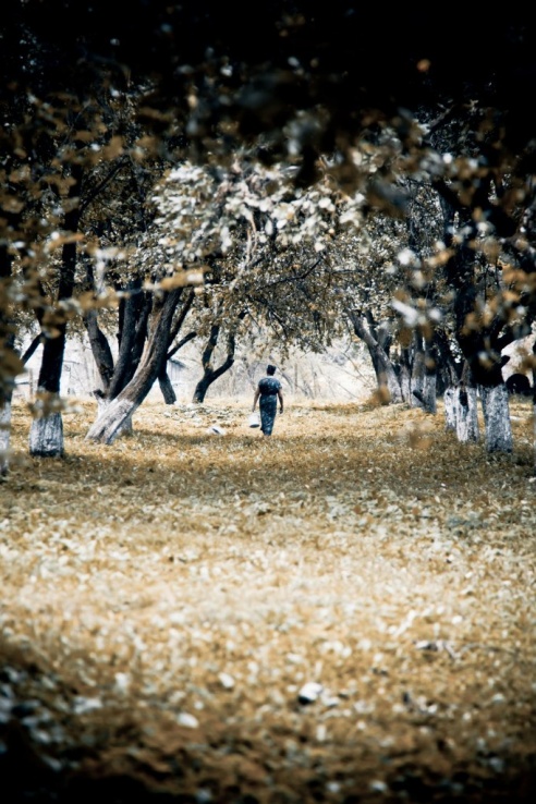 Андрей Мацур: «Снимаю жизнь во всех её проявлениях»"