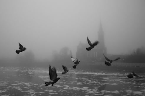 Андрей Мацур: «Снимаю жизнь во всех её проявлениях»"