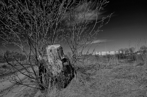 Андрей Мацур: «Снимаю жизнь во всех её проявлениях»"