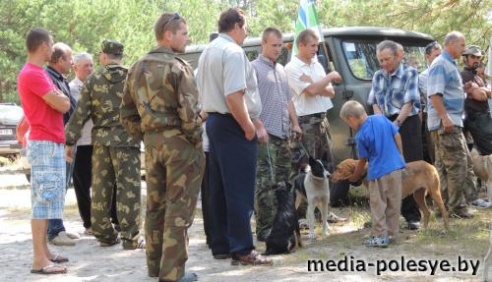В Столинском районе определены самые меткие охотники