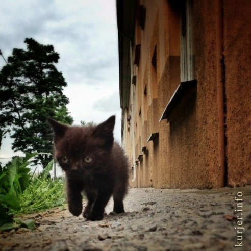 Фотоокна. 19 августа 2013