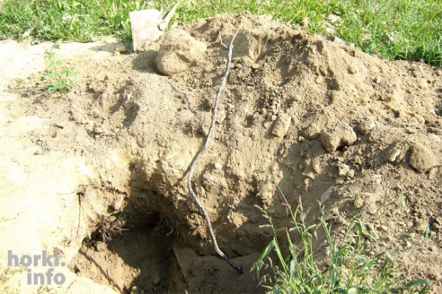 Кто расставил "ловушки" на детской площадке в Горках?