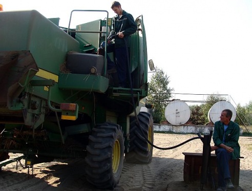 Как убирают гречку в Барановичском районе