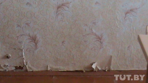 Учительница из Овсянки пожаловалась на условия труда в Министерство образования