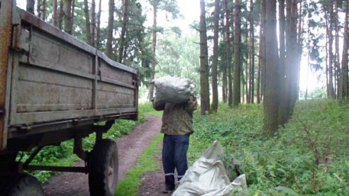 Дождж не перашкодзіў (+фота)