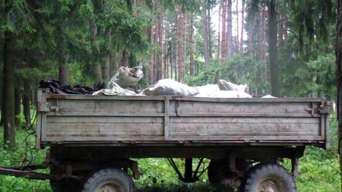 Дождж не перашкодзіў (+фота)