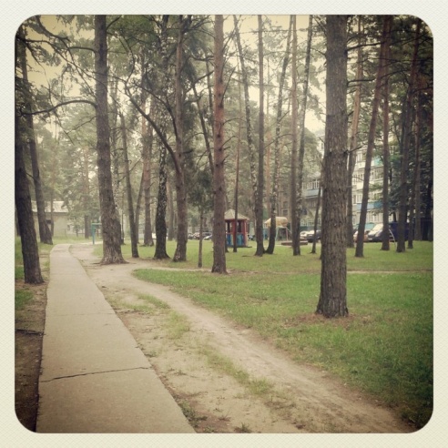 Город. Instagram: Светлогорск в лесу