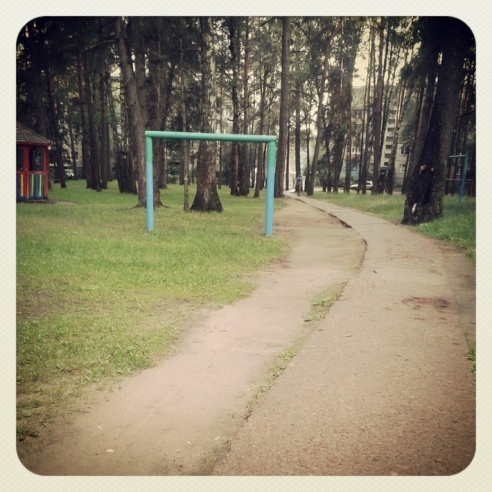 Город. Instagram: Светлогорск в лесу