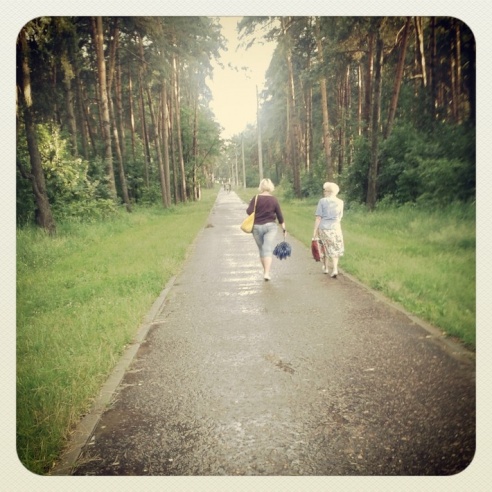 Город. Instagram: Светлогорск в лесу