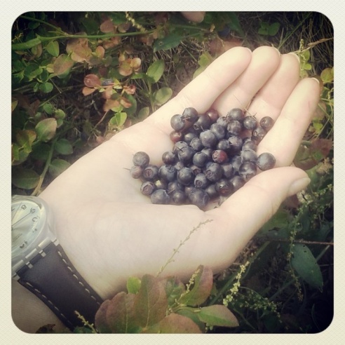 Город. Instagram: Светлогорск в лесу