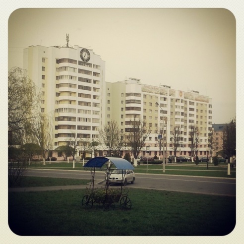 Город. Instagram: Светлогорск в лесу