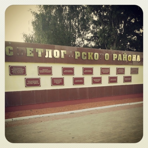 Город. Instagram: Светлогорск в лесу