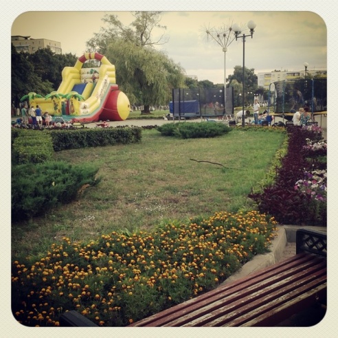 Город. Instagram: Светлогорск в лесу