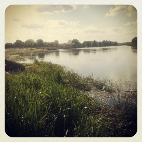 Город. Instagram: Светлогорск в лесу