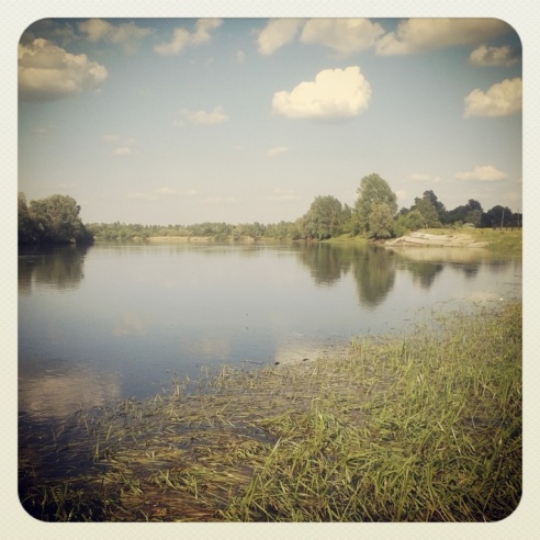 Город. Instagram: Светлогорск в лесу