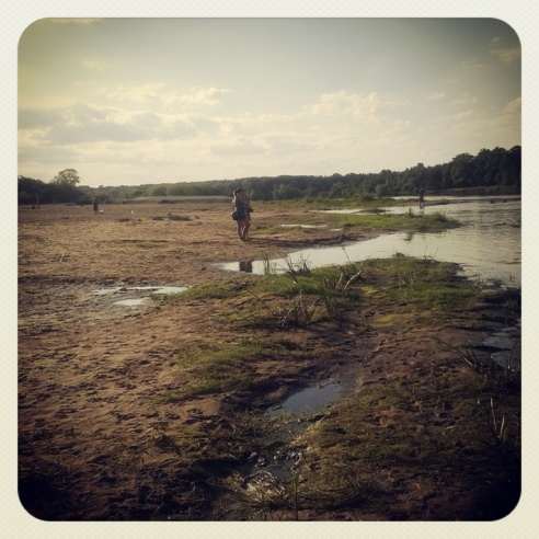 Город. Instagram: Светлогорск в лесу