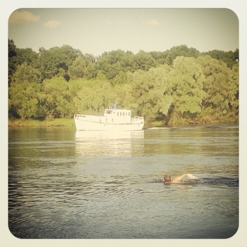 Город. Instagram: Светлогорск в лесу