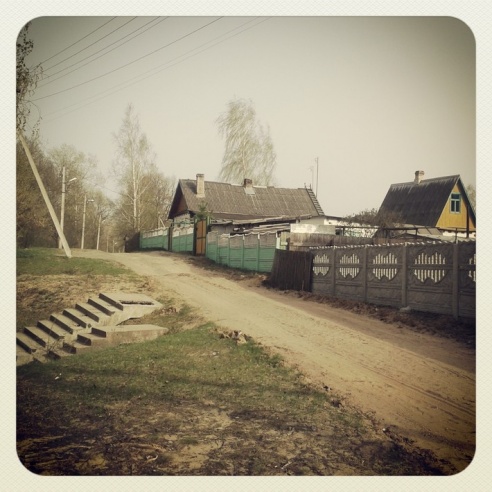 Город. Instagram: Светлогорск в лесу