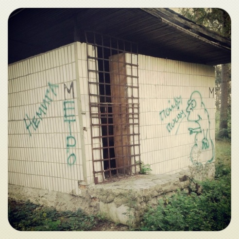 Город. Instagram: Светлогорск в лесу