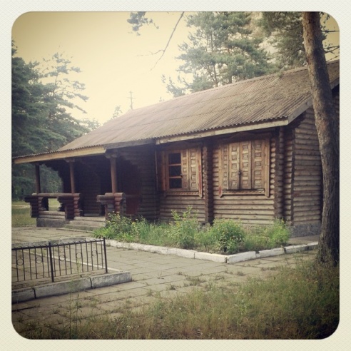 Город. Instagram: Светлогорск в лесу