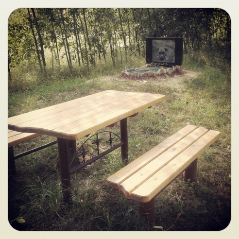 Город. Instagram: Светлогорск в лесу