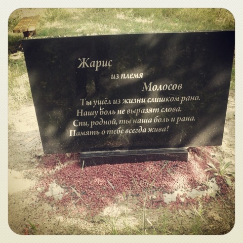 Город. Instagram: Светлогорск в лесу