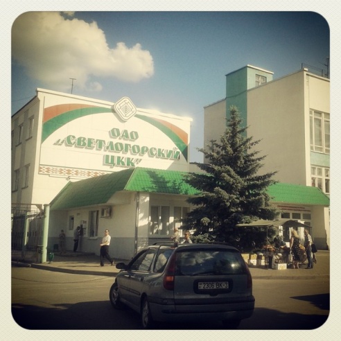 Город. Instagram: Светлогорск в лесу