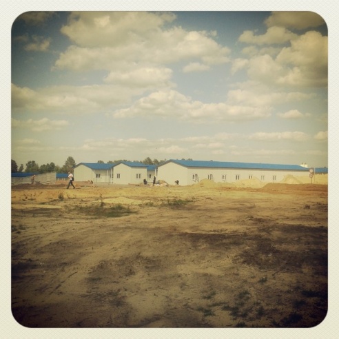 Город. Instagram: Светлогорск в лесу