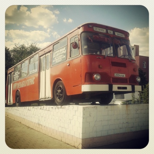 Город. Instagram: Светлогорск в лесу