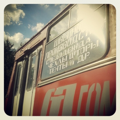 Город. Instagram: Светлогорск в лесу