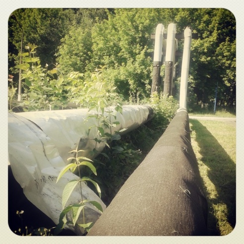 Город. Instagram: Светлогорск в лесу