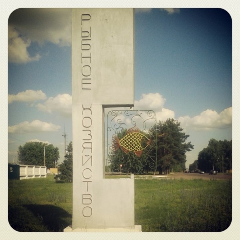 Город. Instagram: Светлогорск в лесу