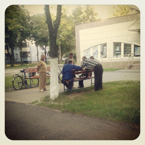 Город. Instagram: Светлогорск в лесу