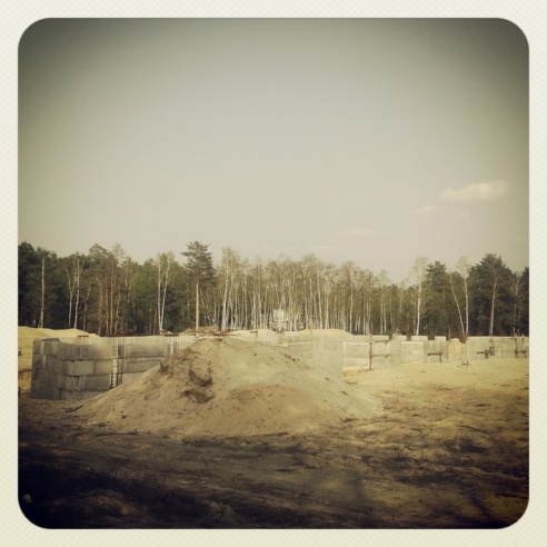 Город. Instagram: Светлогорск в лесу