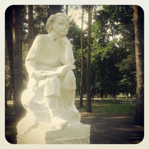 Город. Instagram: Светлогорск в лесу