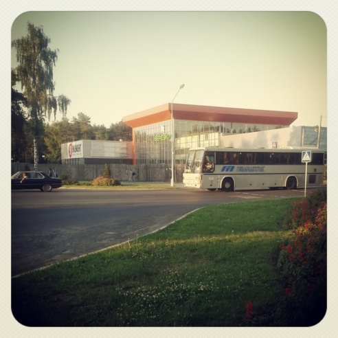 Город. Instagram: Светлогорск в лесу