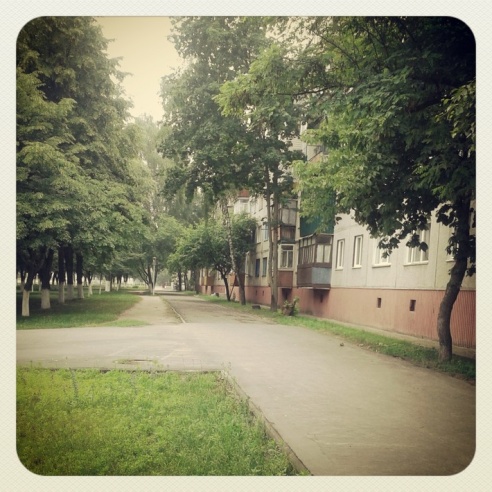 Город. Instagram: Светлогорск в лесу