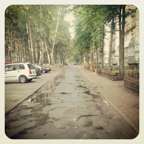 Город. Instagram: Светлогорск в лесу