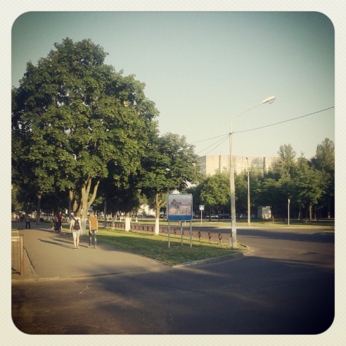 Город. Instagram: Светлогорск в лесу