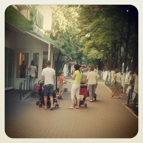 Город. Instagram: Светлогорск в лесу