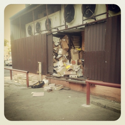 Город. Instagram: Светлогорск в лесу