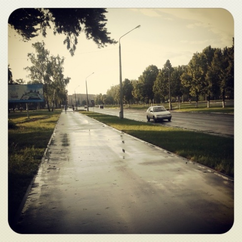 Город. Instagram: Светлогорск в лесу