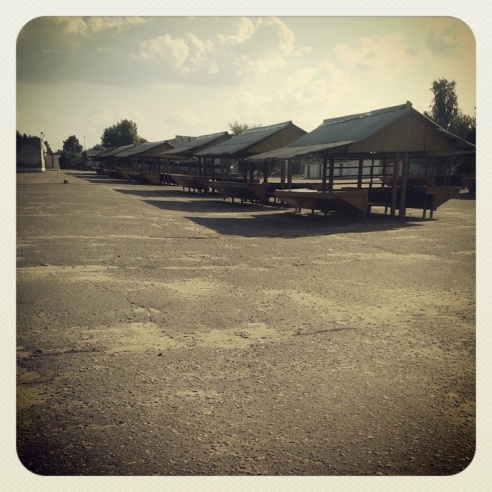 Город. Instagram: Светлогорск в лесу