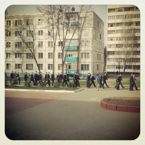 Город. Instagram: Светлогорск в лесу