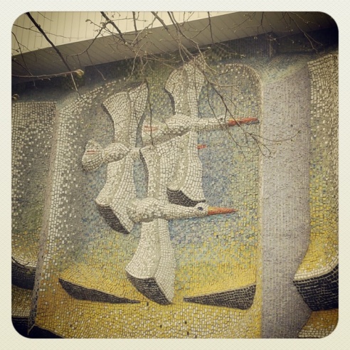 Город. Instagram: Светлогорск в лесу