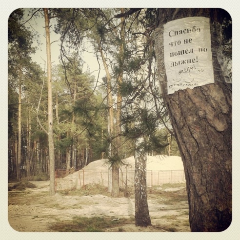 Город. Instagram: Светлогорск в лесу