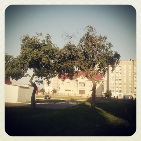 Город. Instagram: Светлогорск в лесу